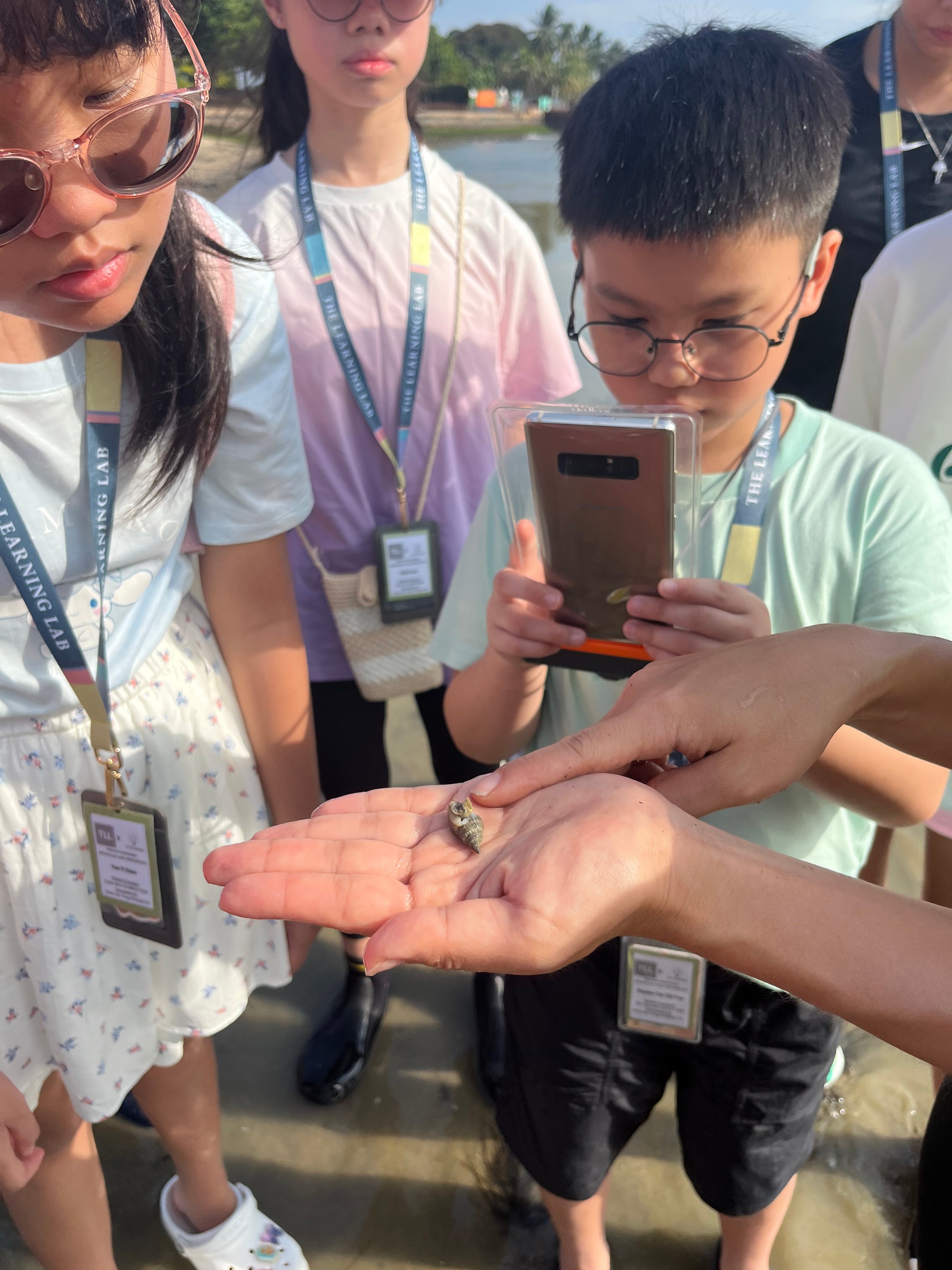 Students of The Learning Lab learn about marine snails at Singapore Changi Beach